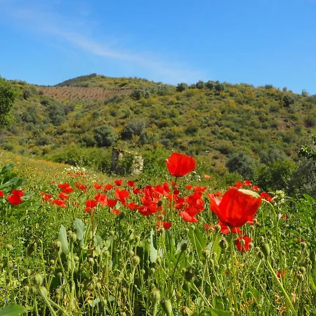 Jardin De Mucho شقة