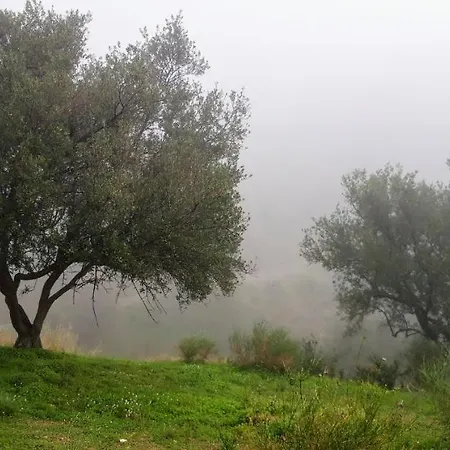 Jardin De Mucho * Macharaviaya
