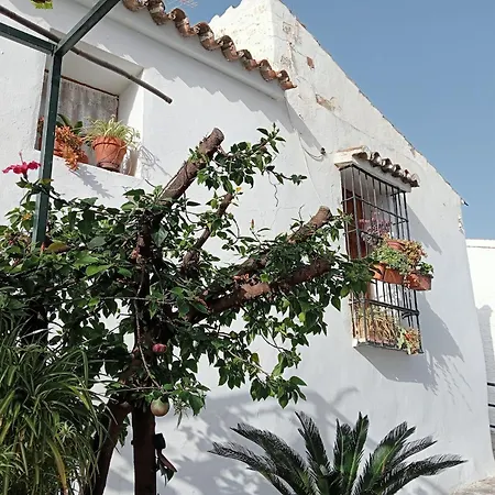 Jardin De Mucho